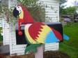 Bird Mailboxes