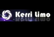 Kerri Limo Boston MA- Premier limo Boston airport 