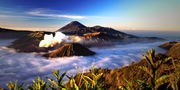 Ijen Crater Tours