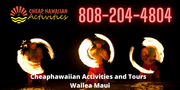 Cheaphawaiian Activities and Tours Wailea